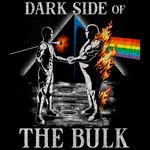 DARK SIDE OF THE BULK (Classic Fitted Tee)