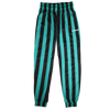 DUMP COVER 2.0 (MINT STRIPED Parachute Pants)