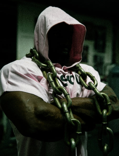 PASTEL PINK HOODWING (Premium Lifting Hoodie)